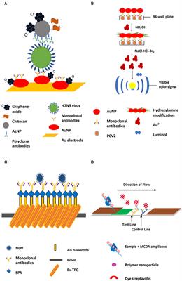 Enhanced Detection of Major Pathogens and Toxins in Poultry and Livestock With Zoonotic Risks Using Nanomaterials-Based Diagnostics